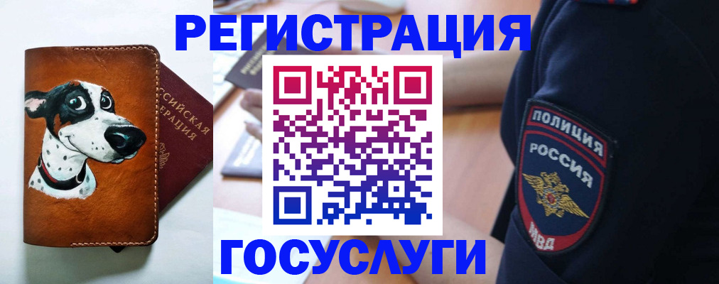 временная регистрация в квартире в Калининградской области